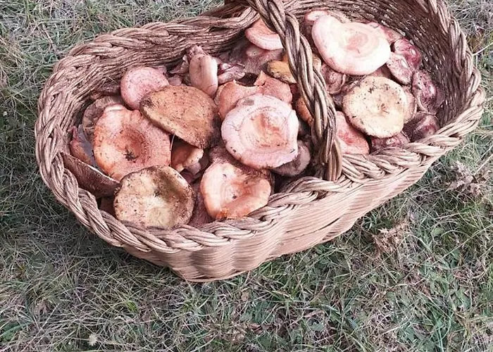 Lägenhet Casa Pureza